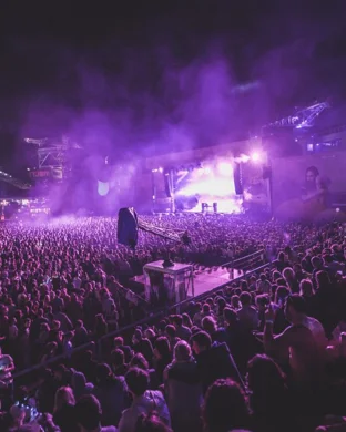 Weed Violence Fest 3