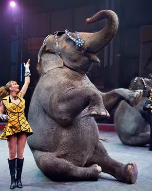 Horror Circus event