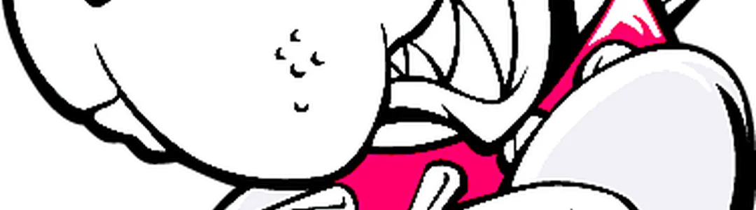 Boston University Terriers