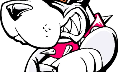 Boston University Terriers