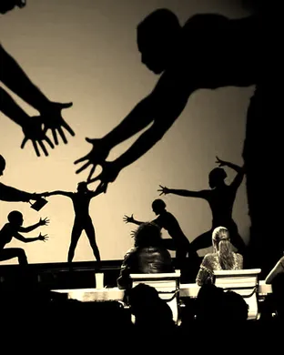 Catapult Shadow Dance Storrs Mansfield