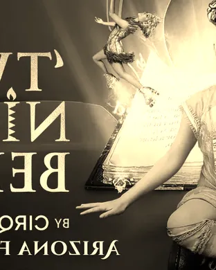 Cirque Du Soleil - Twas The Night Before theatre performance