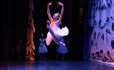 Heritage Ballet