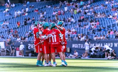 Maryland Whipsnakes