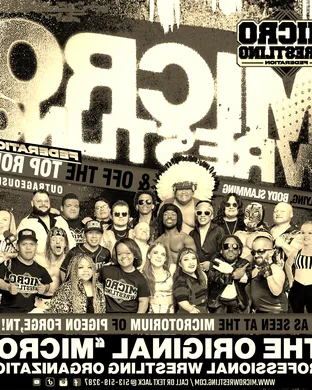 Micro Wrestling Federation