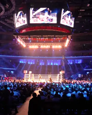 Midgets With Attitude: Midget Mayhem