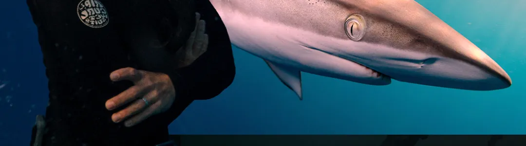 National Geographic Live: Untangling The Mind