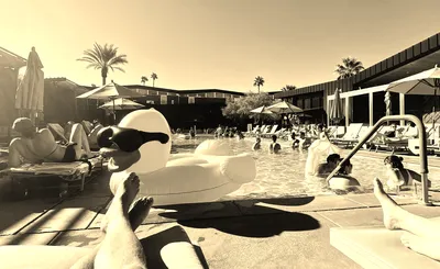 Poolside