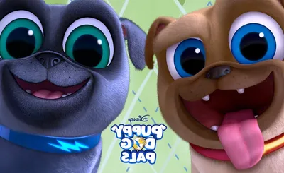 Puppy Pals