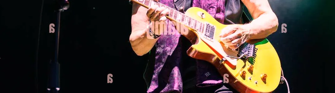 Steve Hackett