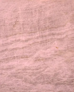 Taj Mahal Northampton