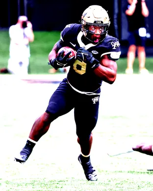 Wake Forest Demon Deacons Springfield
