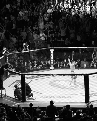 Noboundaryfight XXXI Boston